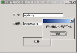 VB共享軟件防破解設計技術初探與制作指南