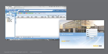 朗圣品牌與互融軟件 一體化VI設計與軟件制作的藝術融合