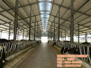 青州市開發(fā)區(qū)潤江溫控設(shè)備廠 一站式畜牧環(huán)境溫控解決方案專家